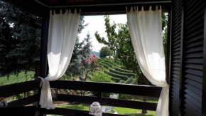 Villa Edy Barbaresco con piscina per gruppi e famiglie